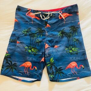 Vans Pink Flamingo Bathing Suit